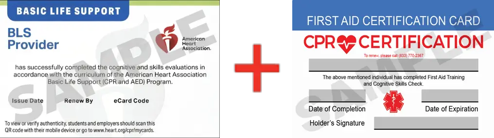 Sample American Heart Association AHA BLS CPR Card Certification and First Aid Certification Card from CPR Certification El Paso