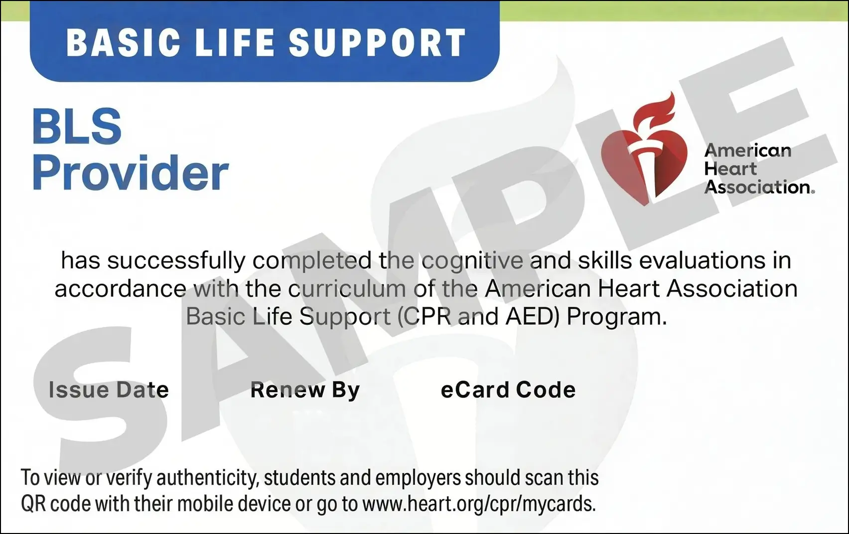 Sample American Heart Association AHA BLS CPR Card Certification from CPR Certification El Paso